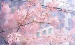 Featured image of post 开发工具